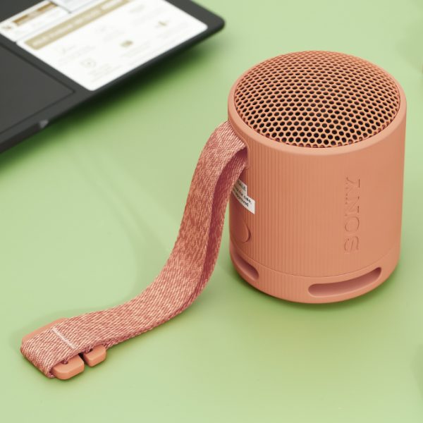 Loa Bluetooth Sony Srs Xb100 3.jpg