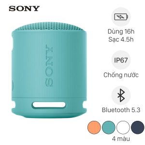 Loa Bluetooth Sony Srs Xb100.jpg